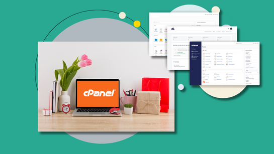 Empower your website with seamless cPanel hosting